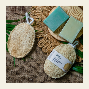 Natural Body Loofah - Set of 2 | Pack of 2 - EarthBased 