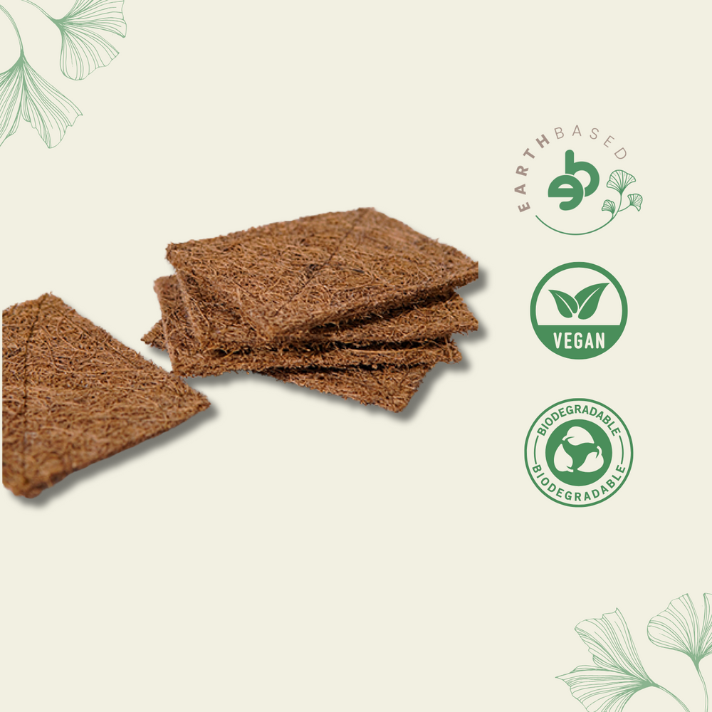 Ecotyl | Coconut Scrub Pad - Set of 5 - EarthBased 