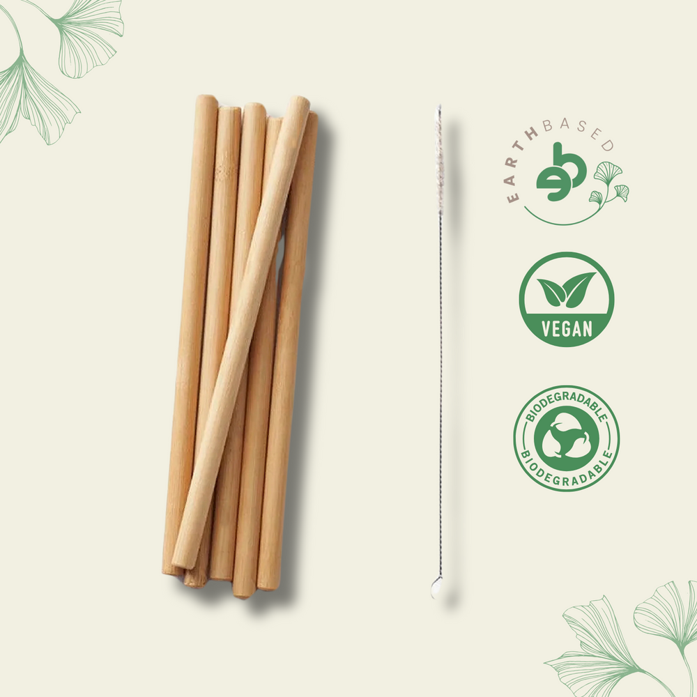 Ecotyl | Bamboo Straw - Set of 6 + Straw Cleaning Brush - EarthBased 