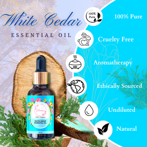White Cedar Essential Oil | Essential Oil | Gulessence - Gulessence