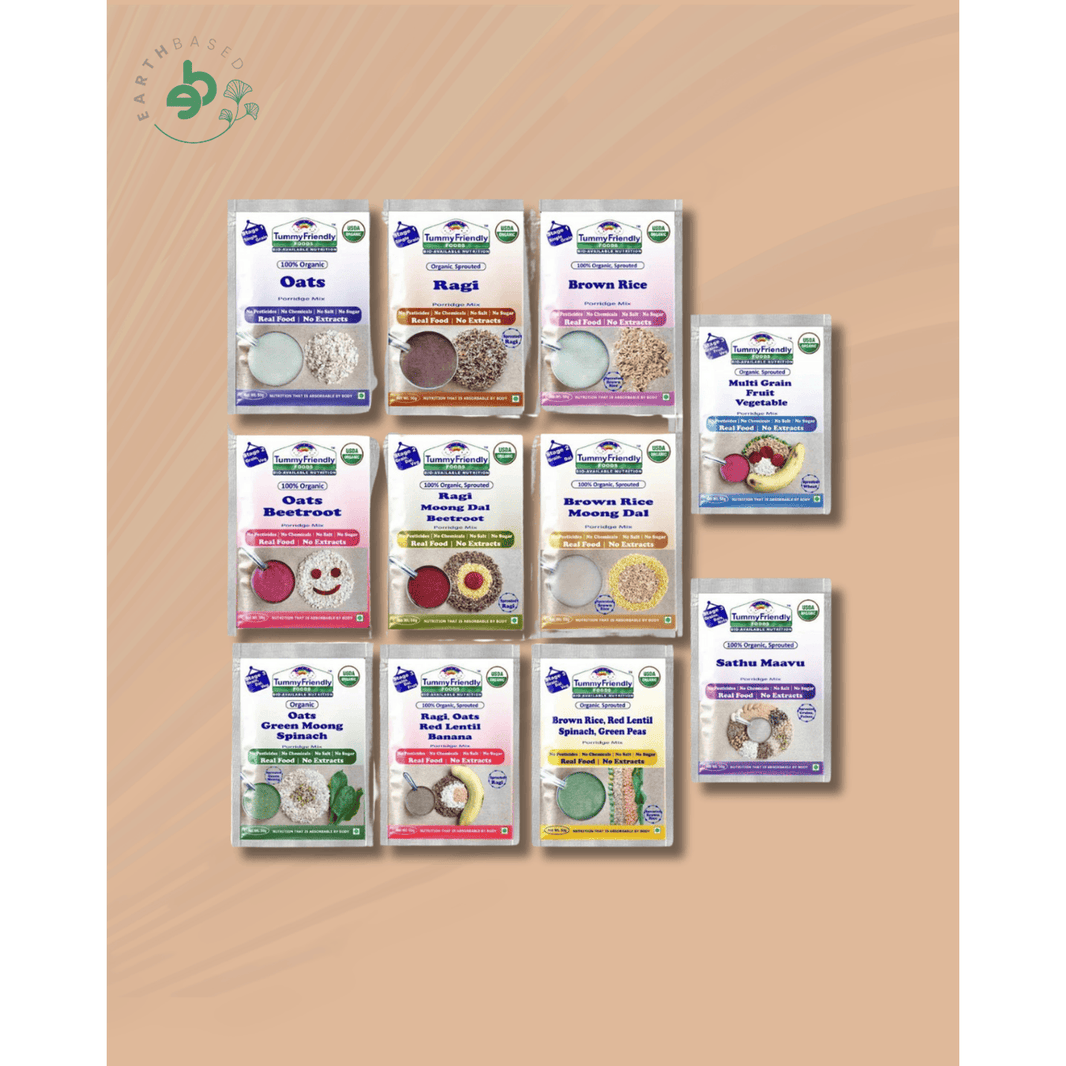 TummyFriendly Foods Certified Stage1, Stage2, Stage3 Porridge Mixes | Organic Baby Food for 6,7,8 Months Old Baby |Trial Packs - 11 Packs, 50g Each Cereal (550 g, Pack of 11) - EarthBased 