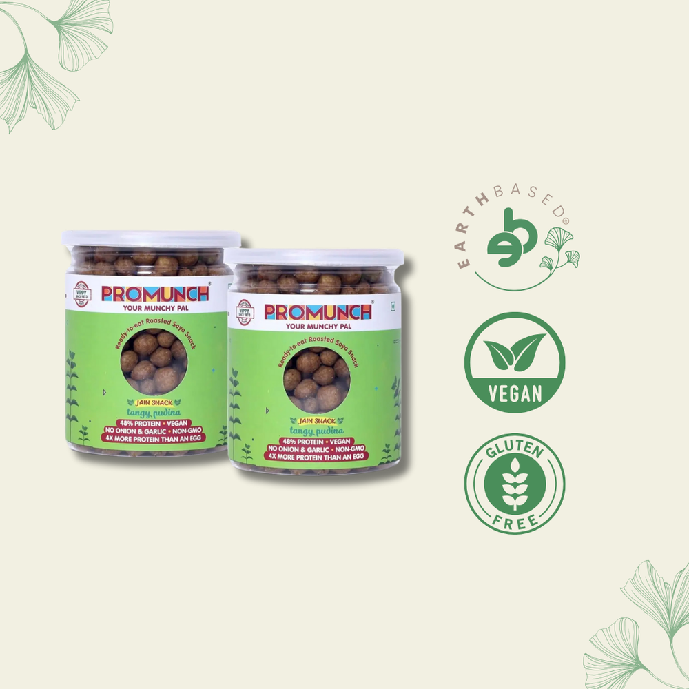 PROMUNCH Roasted Soya Snack | Vegan |Gluten-Free | Pack of 2 Flavour: Tangy Pudina 150 g Each - EarthBased 