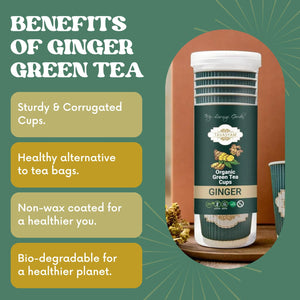 TAVASYAM Ready to Sip Ginger Flavour Green Tea Cup | Green Tea for Weight Loss | Vegan, Gluten Free & Sugar Free | Ginger Flavour | Pre-Filled Tea Cups 200ml | Tea Cups Set of 12 - EarthBased 