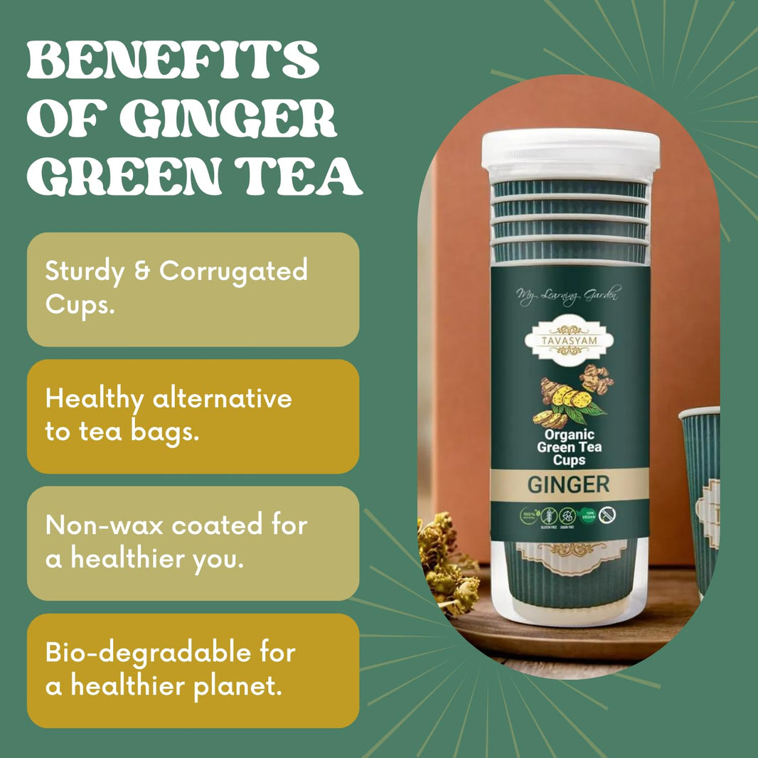 TAVASYAM Ready to Sip Ginger Flavour Green Tea Cup | Green Tea for Weight Loss | Vegan, Gluten Free & Sugar Free | Ginger Flavour | Pre-Filled Tea Cups 200ml | Tea Cups Set of 12 - EarthBased 