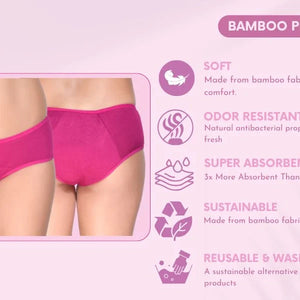 Bamboo Period Panty – 5-Layer Absorbent, Leak-Proof (Pack of 2) - EarthBased 