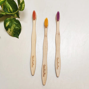 Natural Bamboo Toothbrush (Assorted)- pack of 2 - EarthBased 