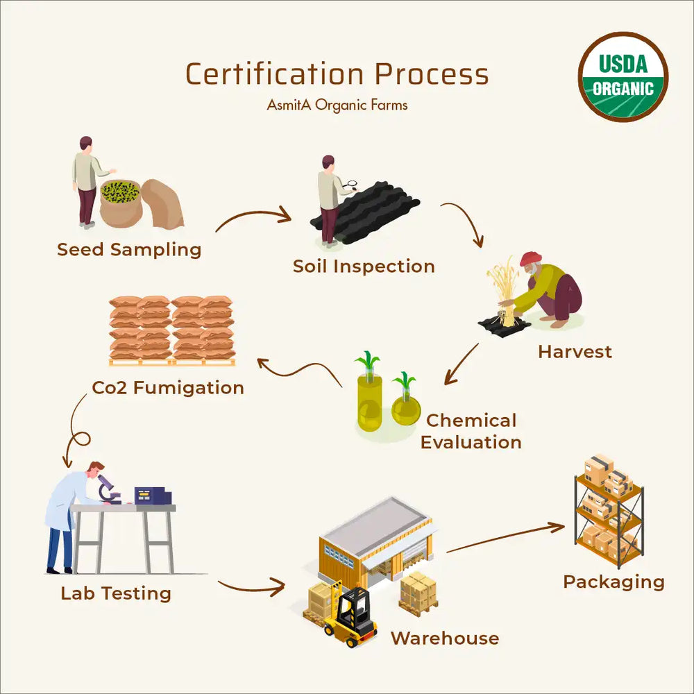 Organic Turmeric Powder | Haldi - 100g | Pack of 3 - EarthBased 