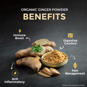 Organic Ginger Powder - 125gm | Pack of 2 - EarthBased 