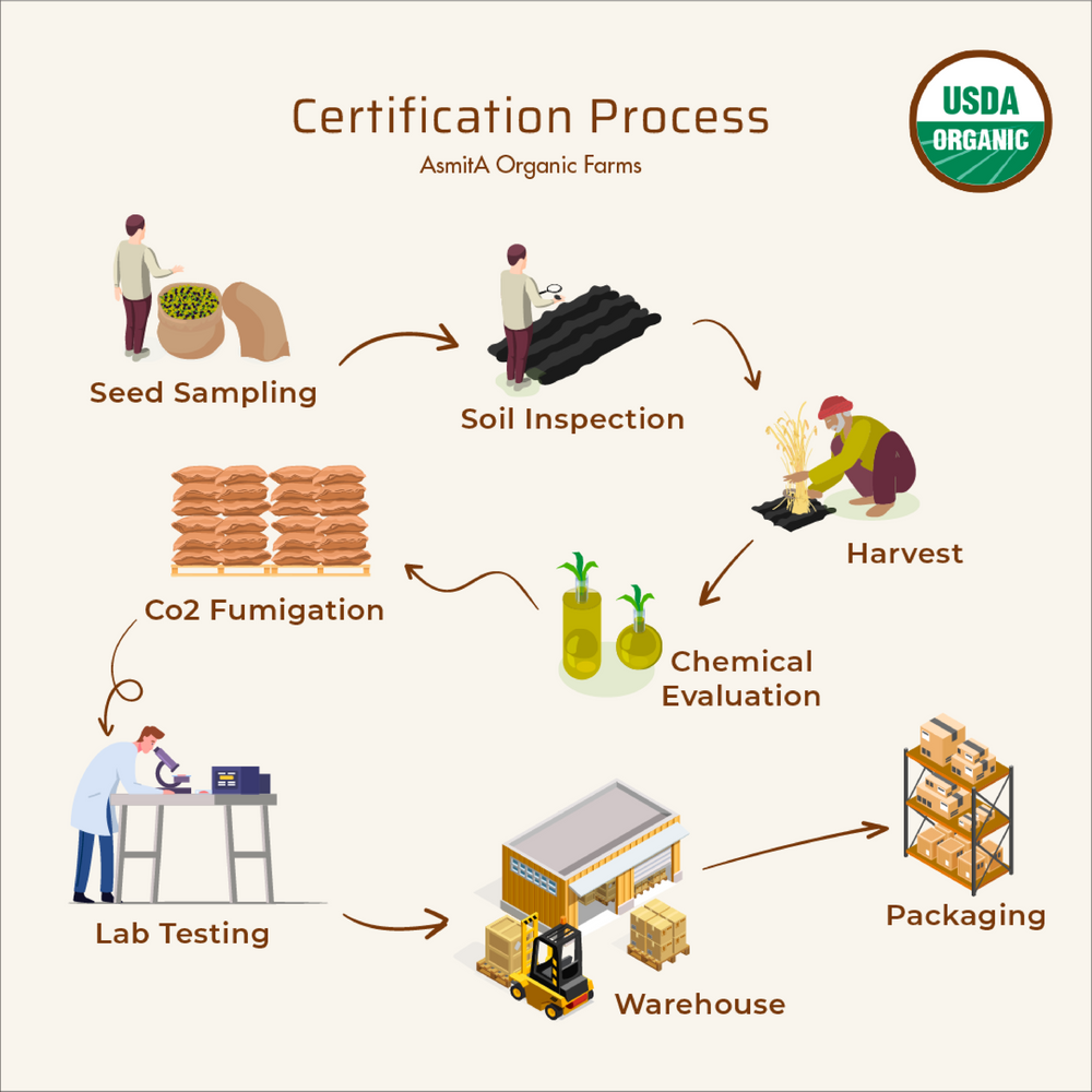 Organic Ginger Powder - 125gm | Pack of 2 - EarthBased 