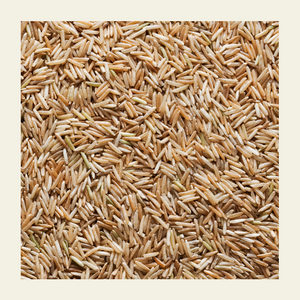 Brown Basmati Rice | Pack of 2 | Soil Origin - EarthBased 