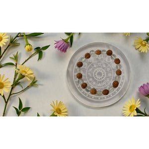 Onearth crystal rudraksha bracelet (certified) - EarthBased 