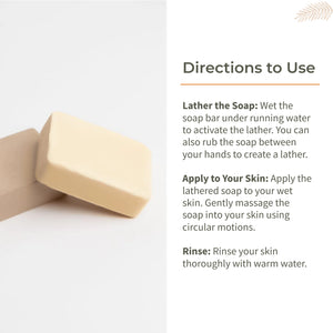 Coconut Milk & Vanilla Soap - Set of 2 | Ecotyl - EarthBased 