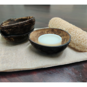 Coconut Shell Soap Dish - EarthBased 