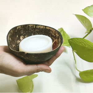 Coconut Shell Soap Dish - EarthBased 