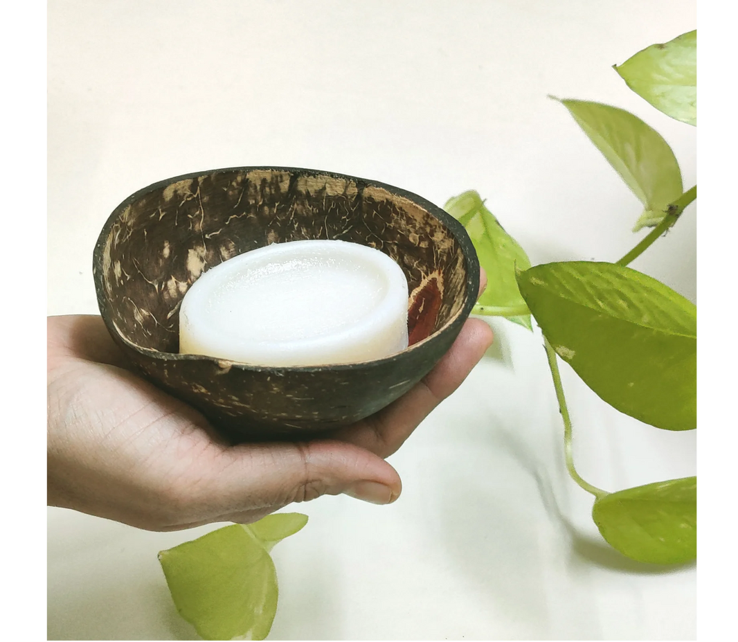 Coconut Shell Soap Dish - EarthBased 