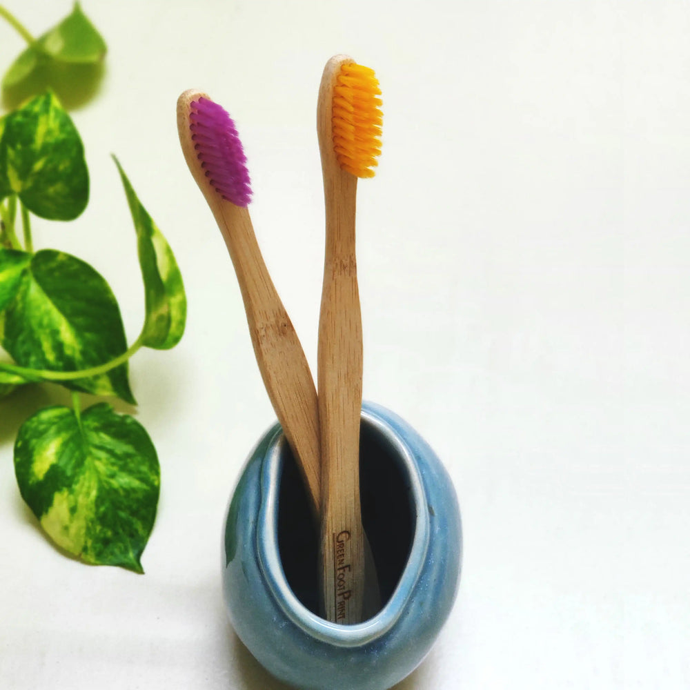 Natural Bamboo Toothbrush - Pack of 2 & Bamboo Earbuds / swabs - Pack of 80 - EarthBased 