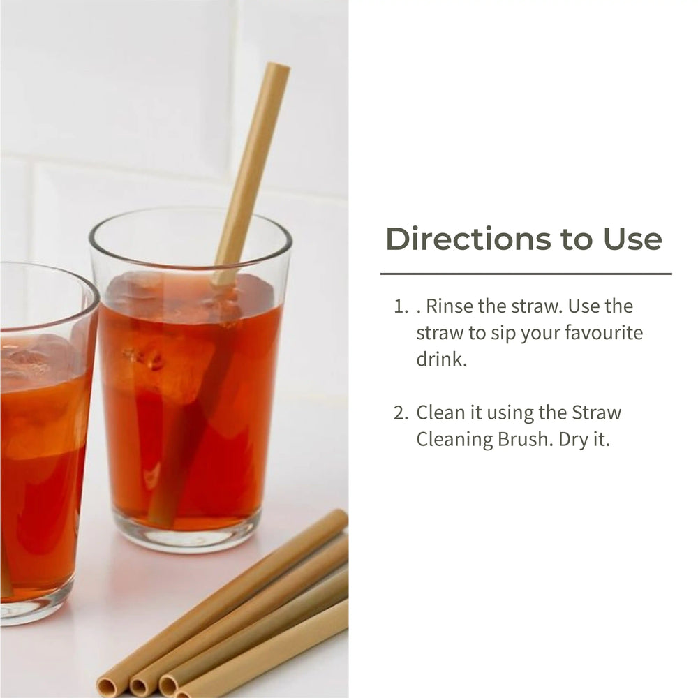 Ecotyl | Bamboo Straw - Set of 6 + Straw Cleaning Brush - EarthBased 