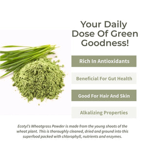 Ecotyl Wheatgrass Powder - EarthBased 