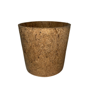 Seed Paper Plantable Rakhi (Assorted) - EarthBased 