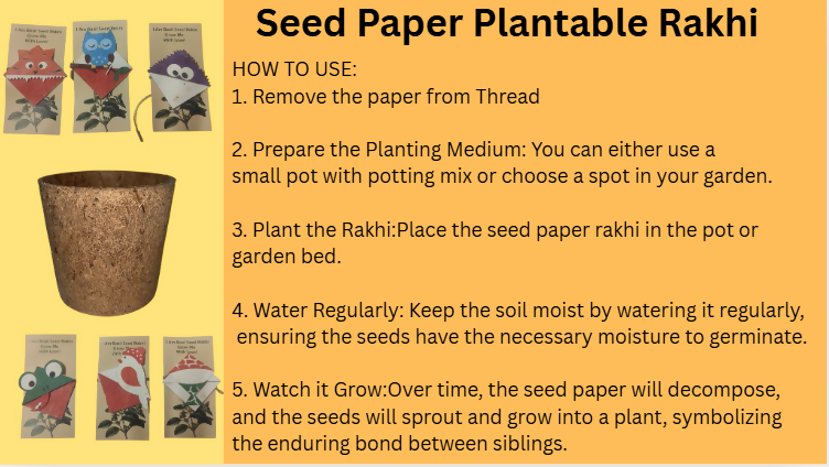 Seed Paper Plantable Rakhi (Assorted) - EarthBased 