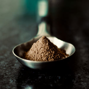 Hemp Protein - Chocolate Hazelnut | 500G (15 SERVINGS) - EarthBased 