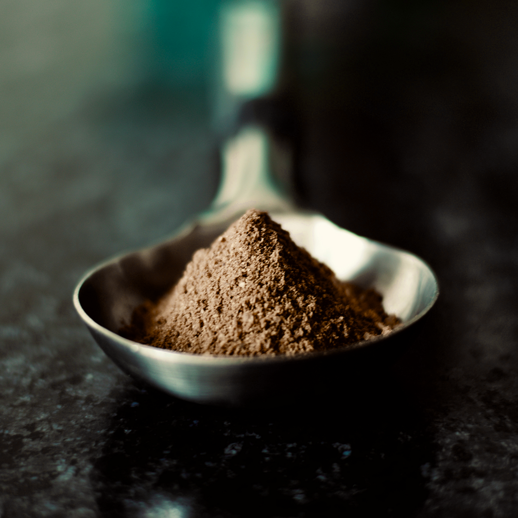 Hemp Protein - Chocolate Hazelnut | 500G (15 SERVINGS) - EarthBased 