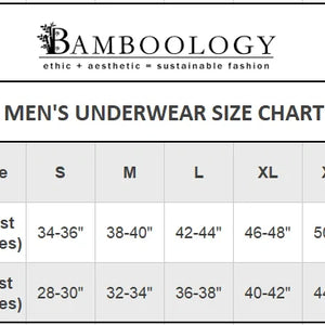 Bamboo Fabric Men's Underwear Super Comfortable,Ultrasoft, Anti Bacterial Briefs, Moisture Wicking | Black - EarthBased 