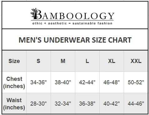 Bamboo Fabric Men's Underwear Super Comfortable,Ultrasoft, Anti Bacterial Briefs, Moisture Wicking | Black - EarthBased 