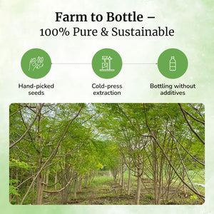 Daivik Moringa Seeds Cold Pressed Oil | 100% Natural | Hair Growth & Skin Care | 100 ml - EarthBased 