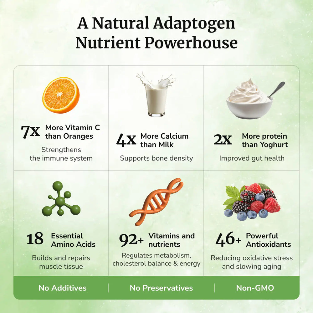 Daivik Moringa Veg Capsules | 100% Natural | Immunity Booster, Anti Aging, Anti Oxidant | 100 Caps Each - EarthBased 