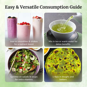 Daivik Moringa Miracle Moringa Powder | 100% Natural | Immunity Booster, Anti Aging, Anti Oxidant | 120 gms - EarthBased 