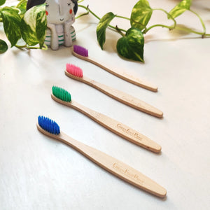 Natural Bamboo Kids Toothbrush - pack of 2 (assorted colours) - EarthBased 