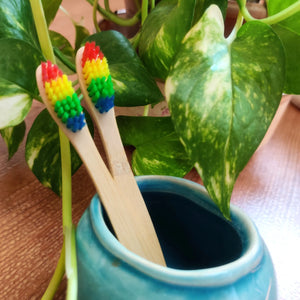 Natural Bamboo Kids Toothbrush - rainbow bristles pack of 2 - EarthBased 
