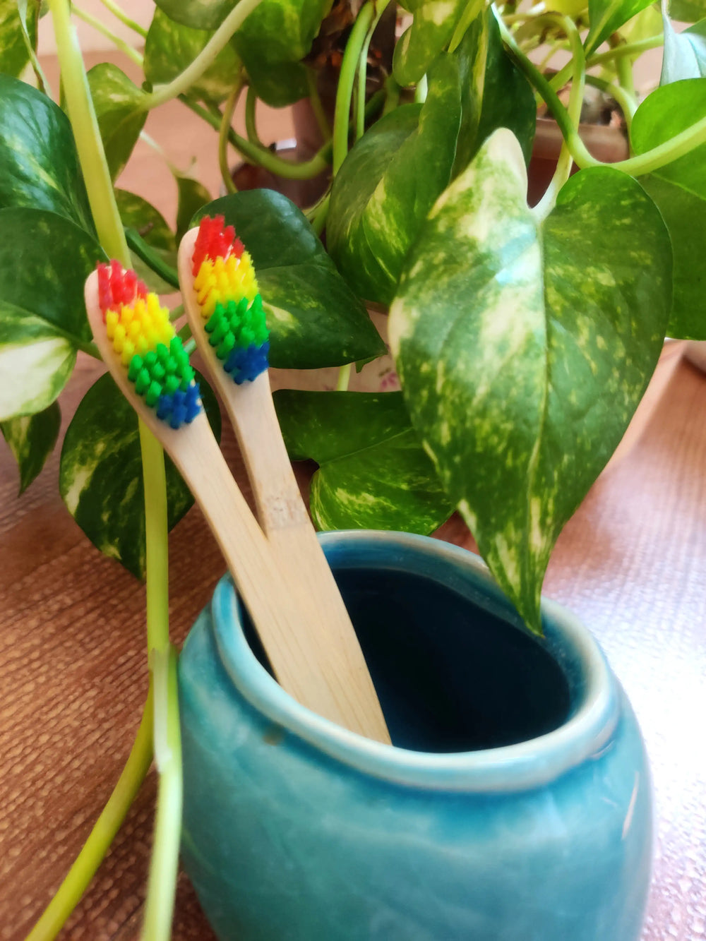 Natural Bamboo Kids Toothbrush - rainbow bristles pack of 2 - EarthBased 