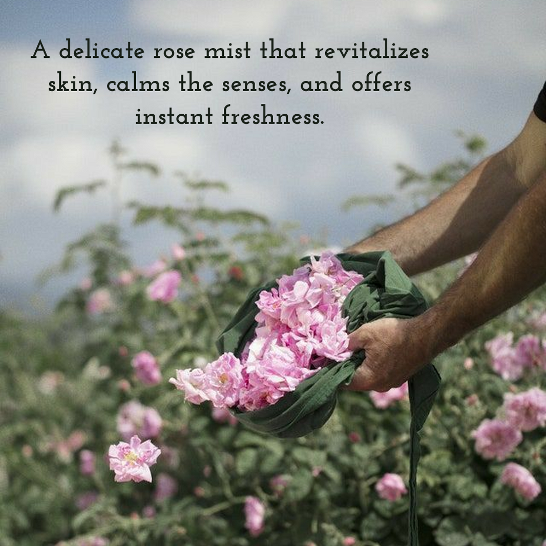 Pure Rose Water Mist | Rose Water for Face | Rose Water Spray - EarthBased 
