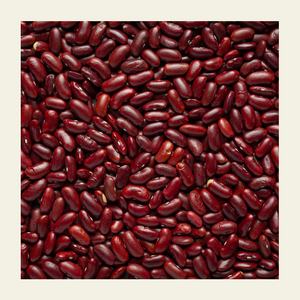 Red Rajma (Kidney Beans) - EarthBased 