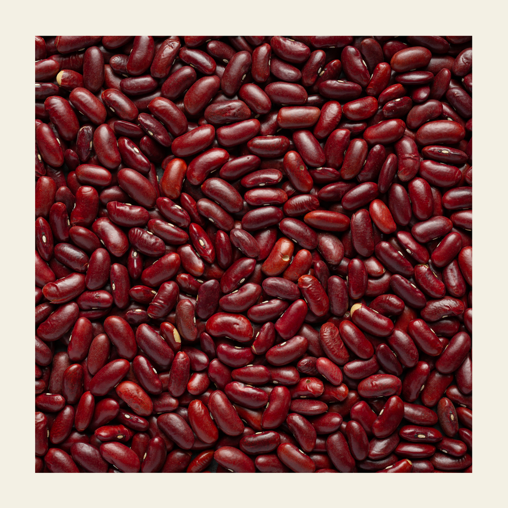 Red Rajma (Kidney Beans) - EarthBased 