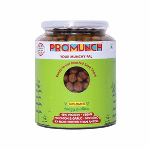 PROMUNCH Roasted Soya Snack | Vegan |Gluten-Free | Pack of 1 Flavour: Tangy Pudina 300 g - EarthBased 