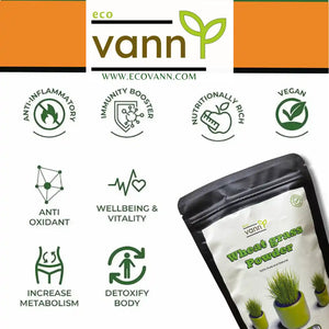 Eco vann Wheat grass Powder | Pack of 3 - EarthBased 
