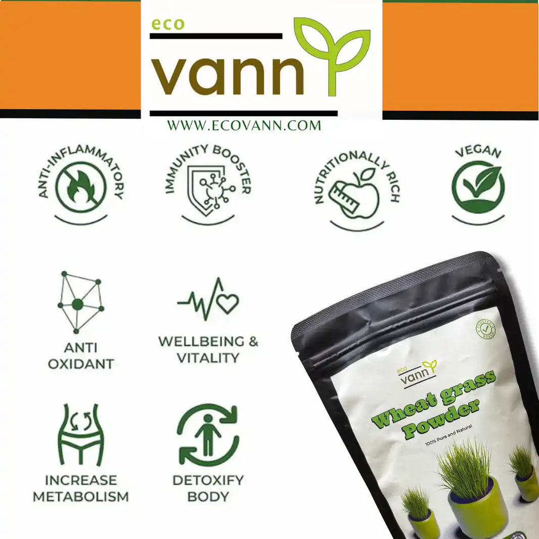 Eco vann Wheat grass Powder | Pack of 3 - EarthBased 