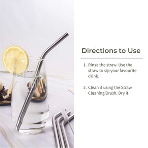 Ecotyl Stainless Steel Straw (Set of 4) + Cleaning Brush - EarthBased 