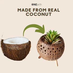 Planter / Tea Light Candle Holder - Coconut Shell | ONEarth - EarthBased 