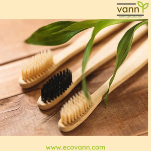 Eco Vann Bamboo Toothbrush (Pack of 2) - EarthBased 