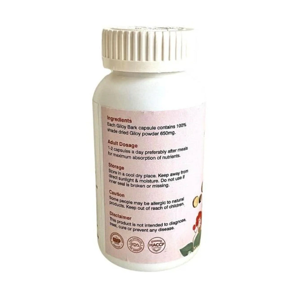 Daivik Moringa Giloy Veg Capsules | 100% Natural | Immunity Booster | 100 Caps Each - EarthBased 