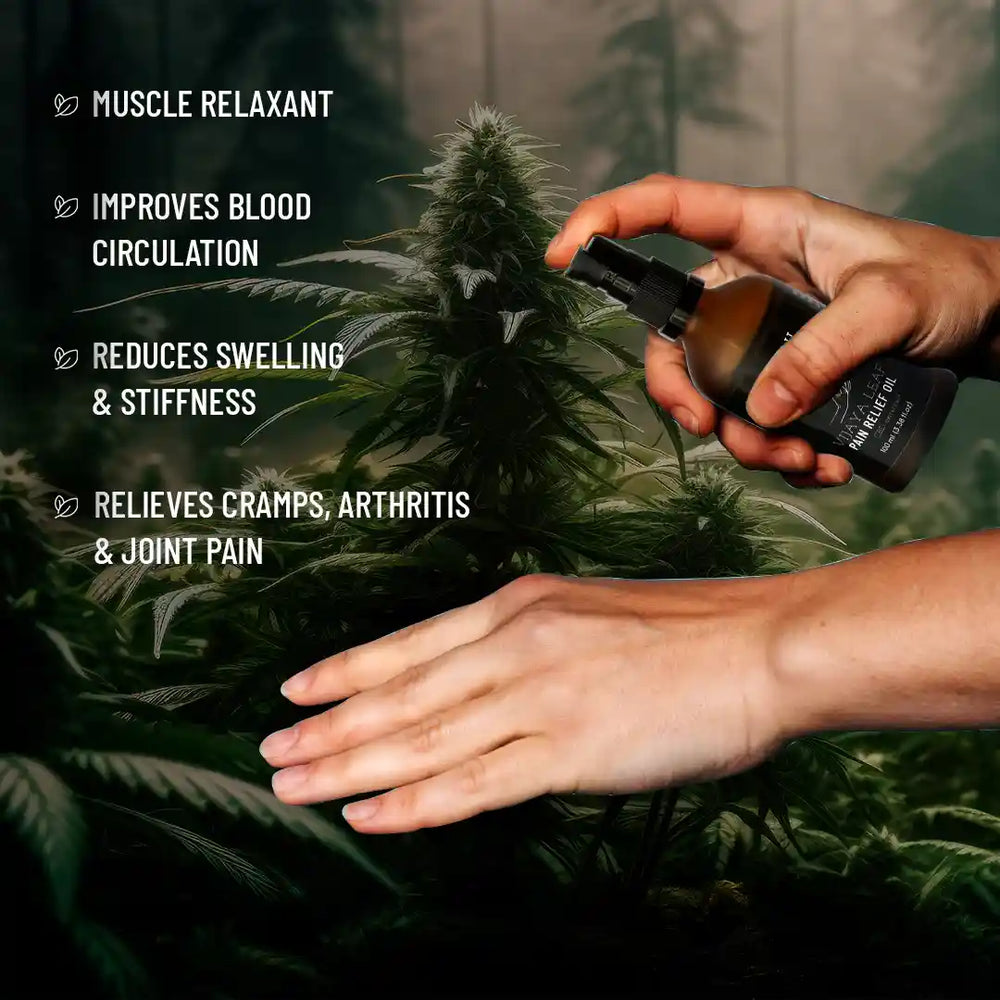 Vijaya Leaf Pain Relief Oil - EarthBased 