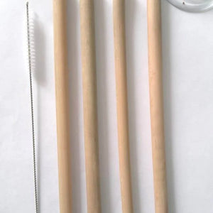 Reusable Bamboo straws Pack of 4 With Straw Cleaner - EarthBased 