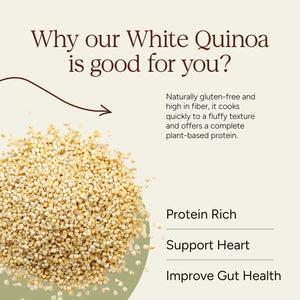 Whole Quinoa | Soil Origin - EarthBased 