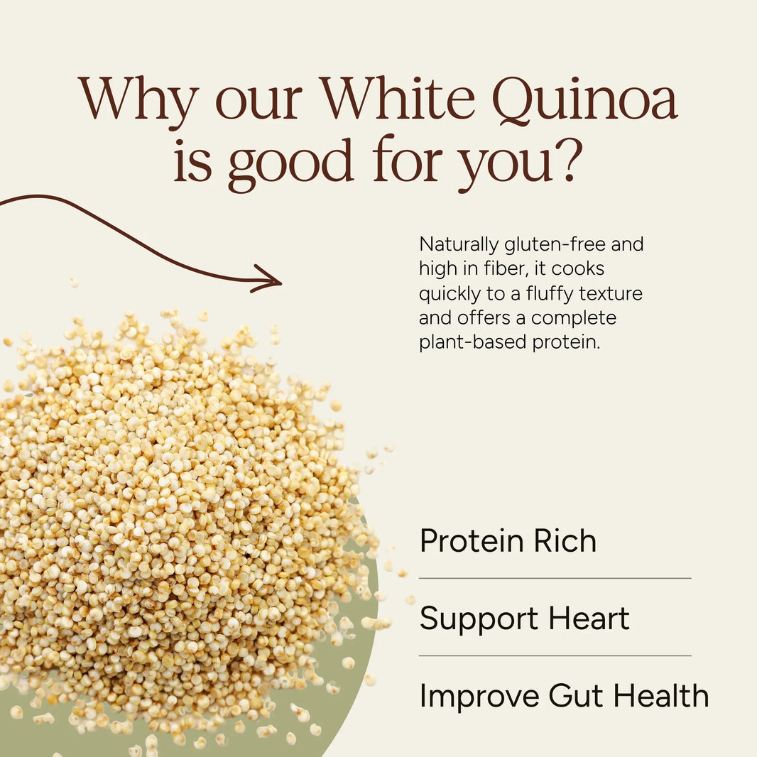 Whole Quinoa | Soil Origin - EarthBased 