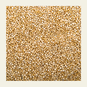 Whole Quinoa | Soil Origin - EarthBased 
