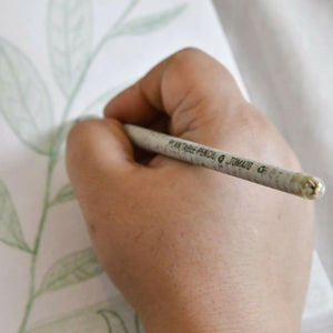 Paper Pencil (Plantable Seed), 2 Packs of 10 – image 3